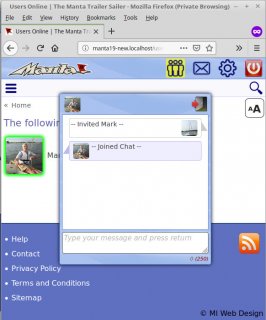 Chat window
